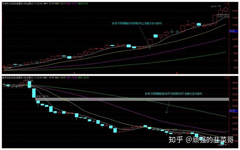 “轻享版”上市,泰康“健康有约”产品体系再升级